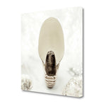 16" Seashell Bulb 4 Giclee Wrap Canvas Wall Art
