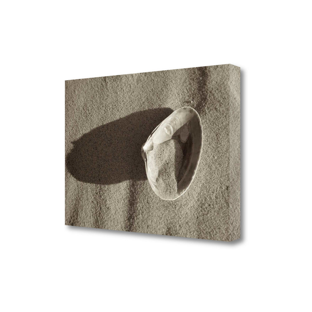 35" One Sandy Seashell Giclee Wrap Canvas Wall Art