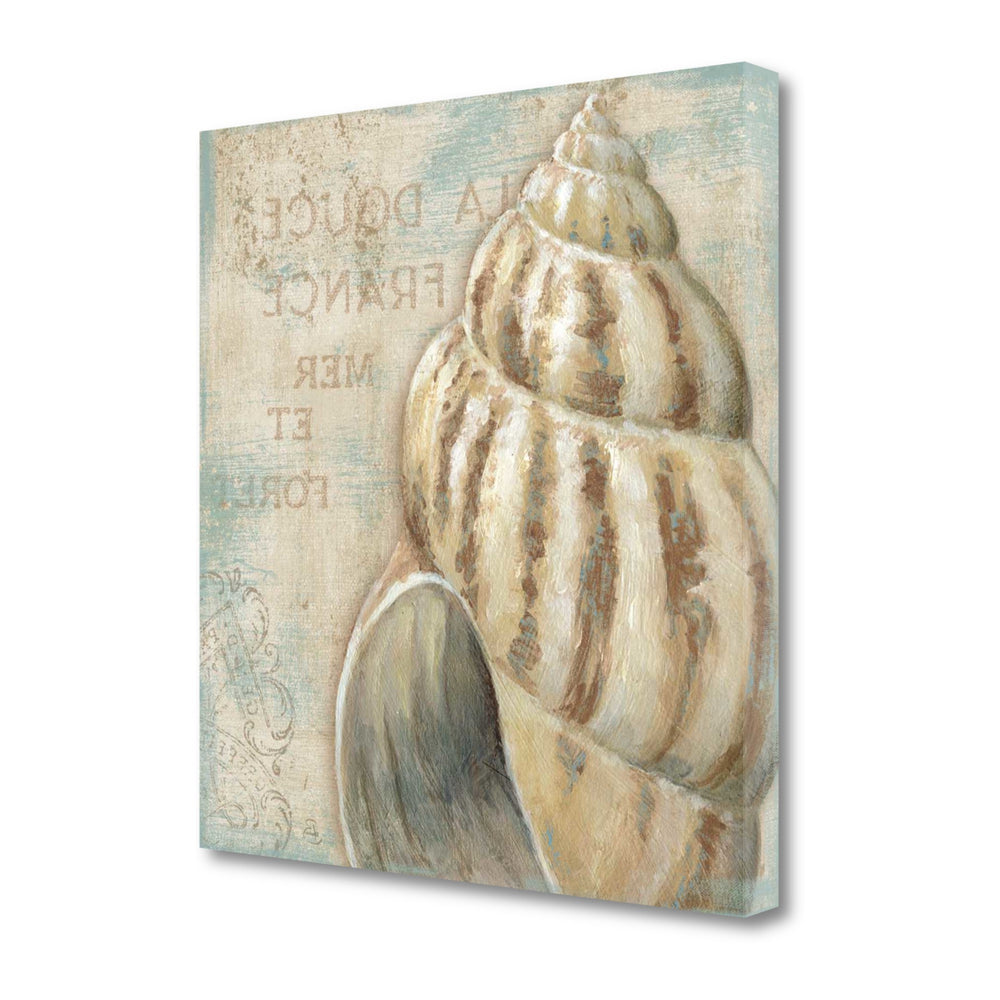 Rustic French Seashell 1 Giclee Wrap Canvas Wall Art