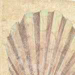 20" Bohemian Pastel Seashell Giclee Wrap Canvas Wall Art