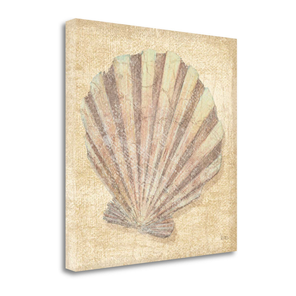 24" Bohemian Pastel Seashell Giclee Wrap Canvas Wall Art