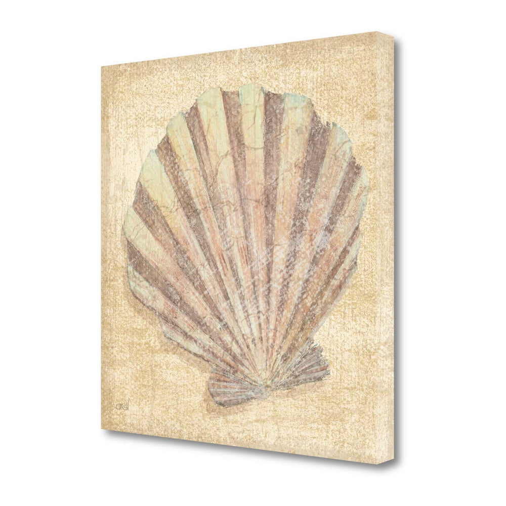 24" Bohemian Pastel Seashell Giclee Wrap Canvas Wall Art