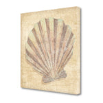 24" Bohemian Pastel Seashell Giclee Wrap Canvas Wall Art