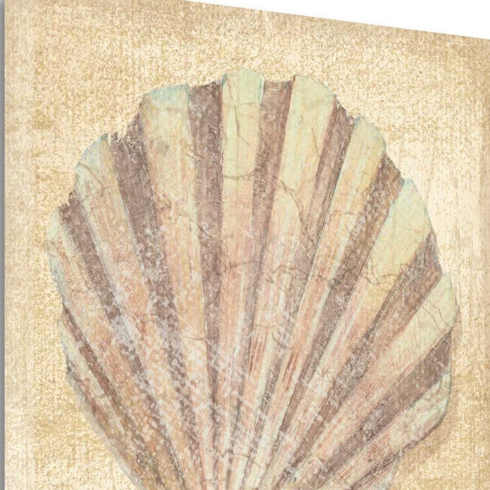 24" Bohemian Pastel Seashell Giclee Wrap Canvas Wall Art