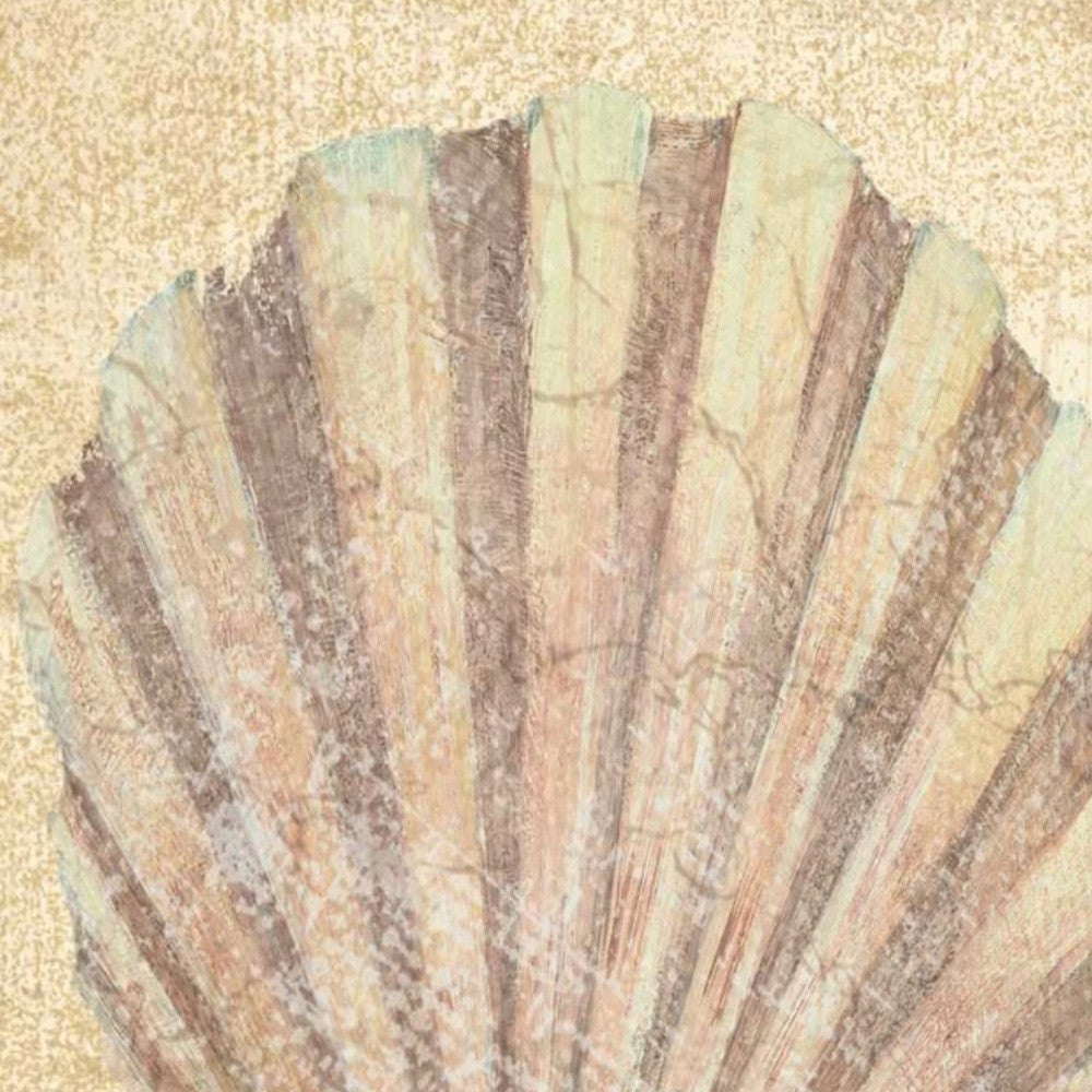 24" Bohemian Pastel Seashell Giclee Wrap Canvas Wall Art