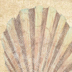 24" Bohemian Pastel Seashell Giclee Wrap Canvas Wall Art