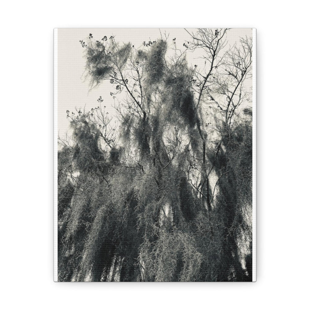 Home Decor, Canvas Gallery Wrap Vertical Wall Art, Say It Soul Black And White Moss Tree Outdoor Nature