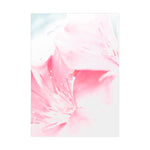 Home Decor, Fine Art / Luster Satin Finish Print, Pink Flower Bloom, Peaceful Spring Nature