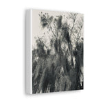 Home Decor, Canvas Gallery Wrap Vertical Wall Art, Say It Soul Black And White Moss Tree Outdoor Nature