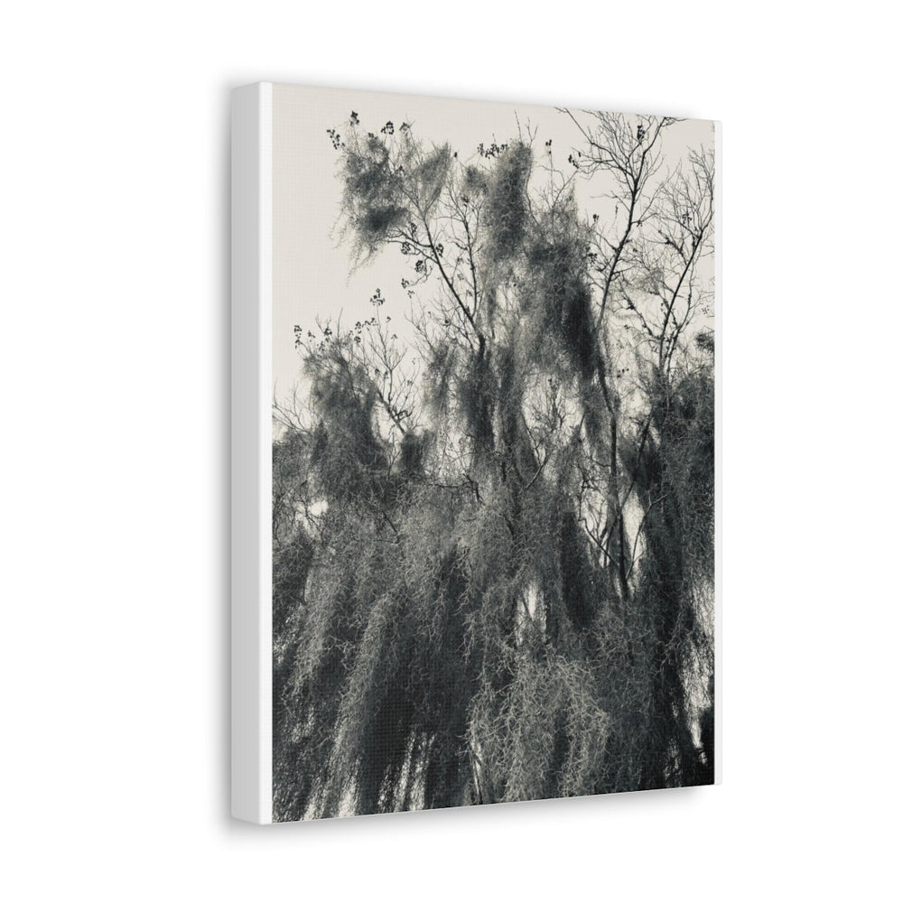 Home Decor, Canvas Gallery Wrap Vertical Wall Art, Say It Soul Black And White Moss Tree Outdoor Nature