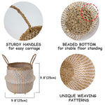Seagrass Belly Basket w Handles, Beaded Planters Pot Cover for Indoor plants.