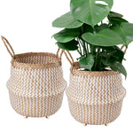Seagrass Belly Basket w Handles, Beaded Planters Pot Cover for Indoor plants.