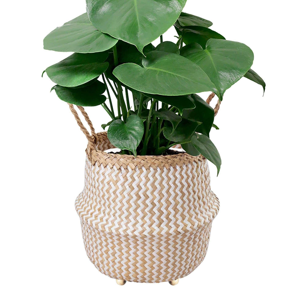 Seagrass Belly Basket w Handles, Beaded Planters Pot Cover for Indoor plants.