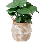 Seagrass Belly Basket w Handles, Beaded Planters Pot Cover for Indoor plants.