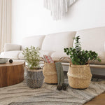 Seagrass Belly Basket w Handles, Beaded Planters Pot Cover for Indoor plants.