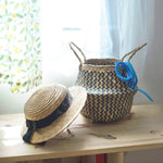 Seagrass Belly Basket w Handles, Beaded Planters Pot Cover for Indoor plants.