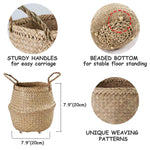 Seagrass Belly Basket w Handles, Beaded Planters Pot Cover for Indoor plants.