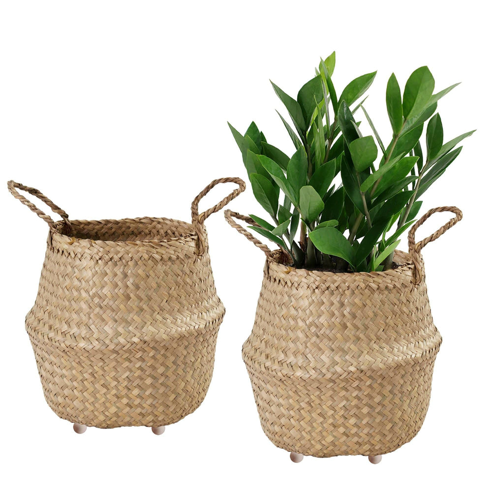 Seagrass Belly Basket w Handles, Beaded Planters Pot Cover for Indoor plants.
