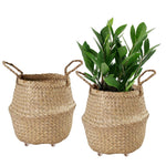Seagrass Belly Basket w Handles, Beaded Planters Pot Cover for Indoor plants.