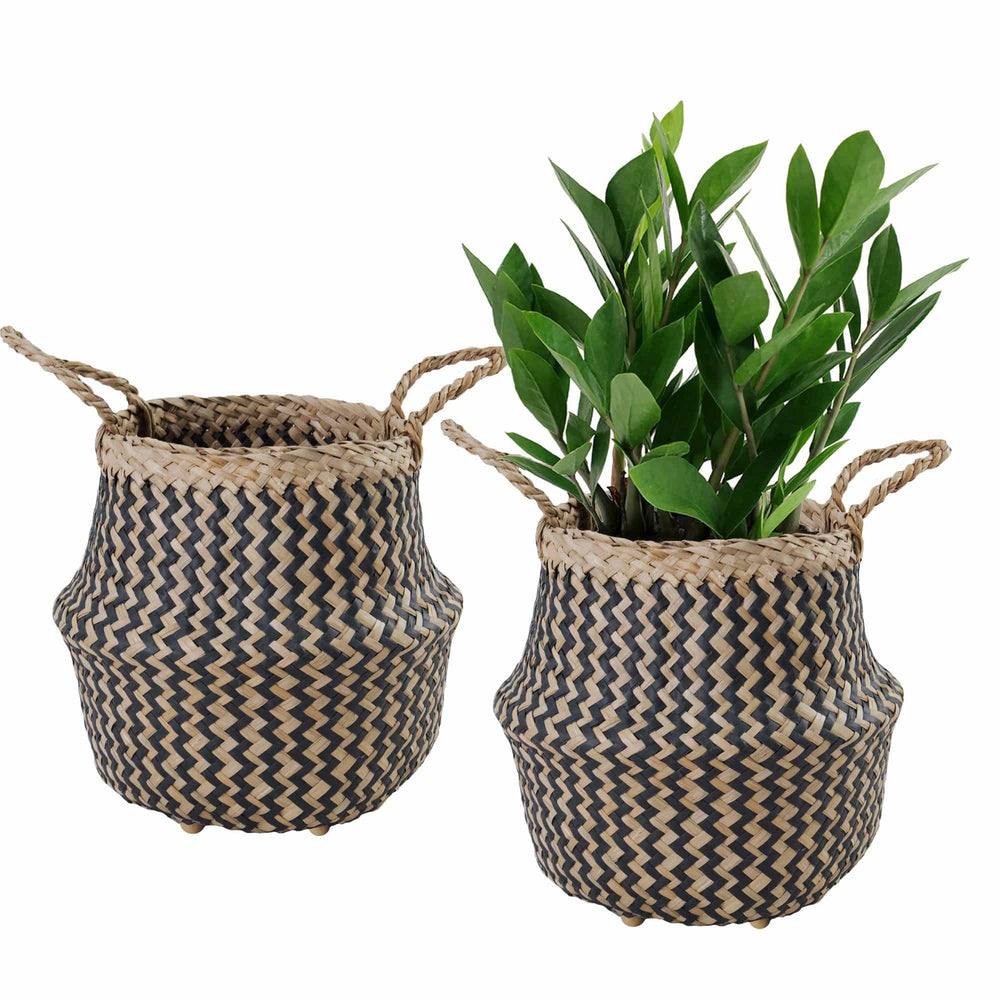 Seagrass Belly Basket w Handles, Beaded Planters Pot Cover for Indoor plants.