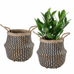 Seagrass Belly Basket w Handles, Beaded Planters Pot Cover for Indoor plants.
