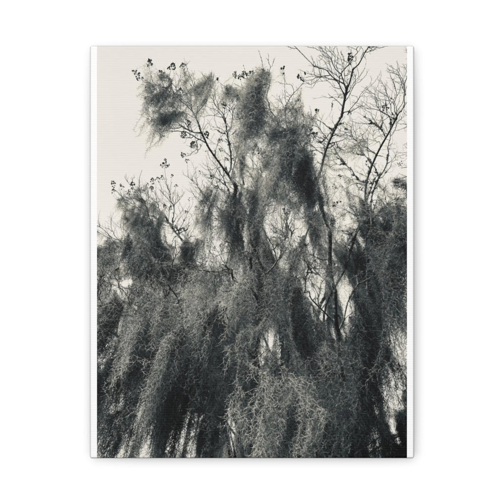 Home Decor, Canvas Gallery Wrap Vertical Wall Art, Say It Soul Black And White Moss Tree Outdoor Nature