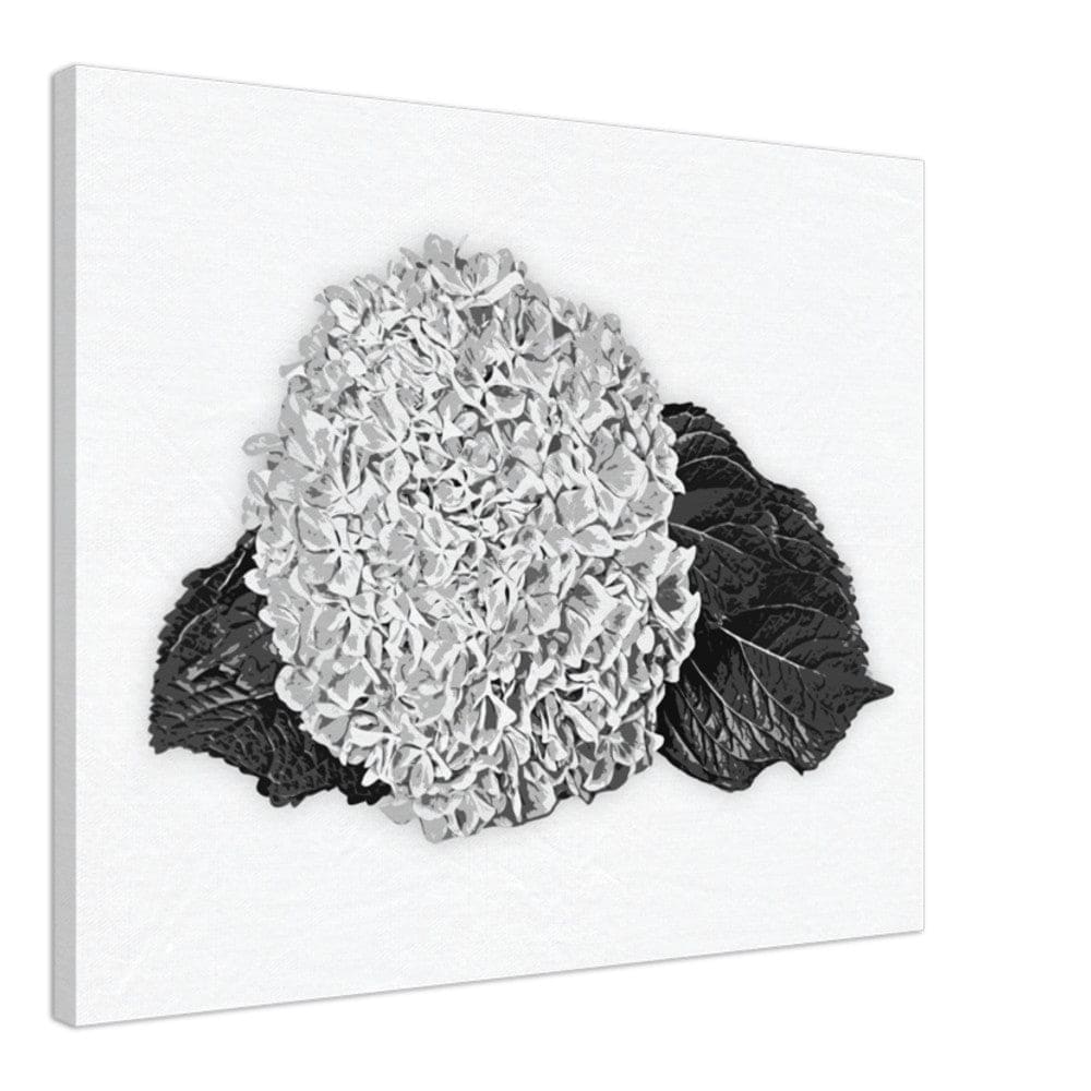 Decorative Wall Art - Canvas / Black and White Hydrangea