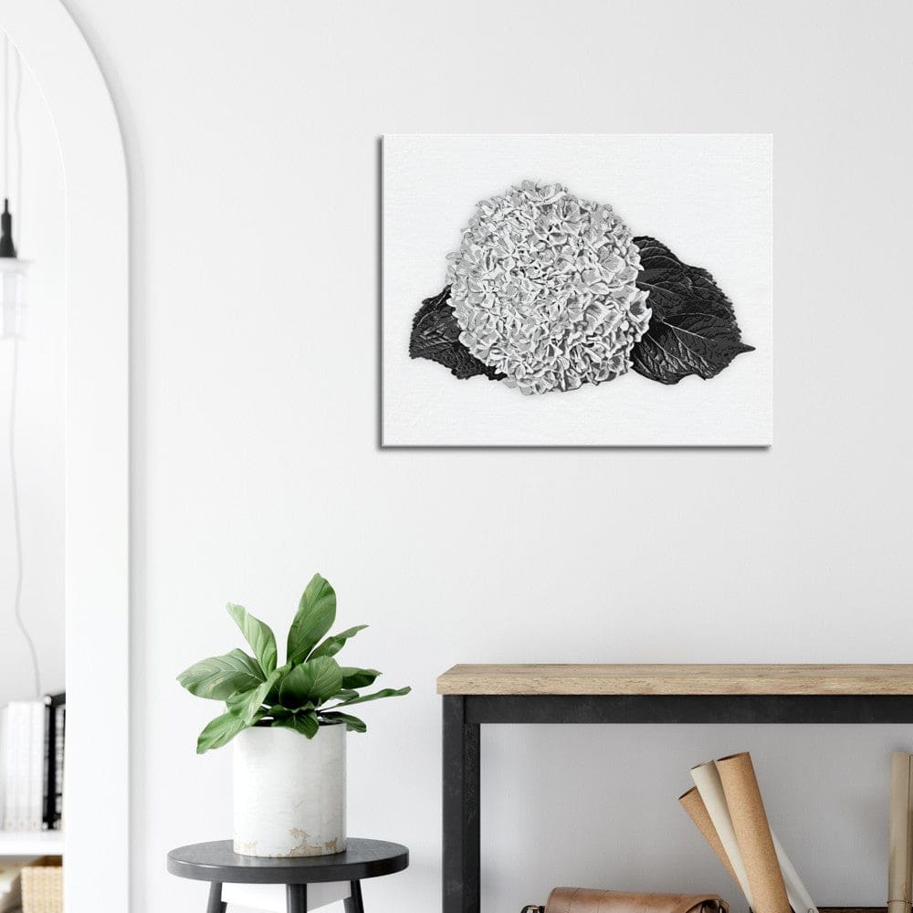 Decorative Wall Art - Canvas / Black and White Hydrangea