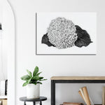 Decorative Wall Art - Canvas / Black and White Hydrangea