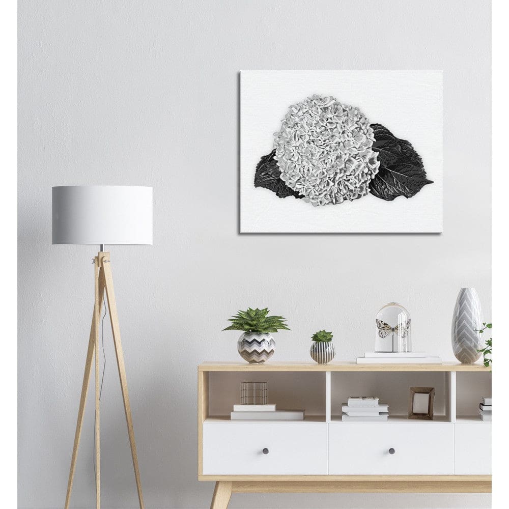 Decorative Wall Art - Canvas / Black and White Hydrangea