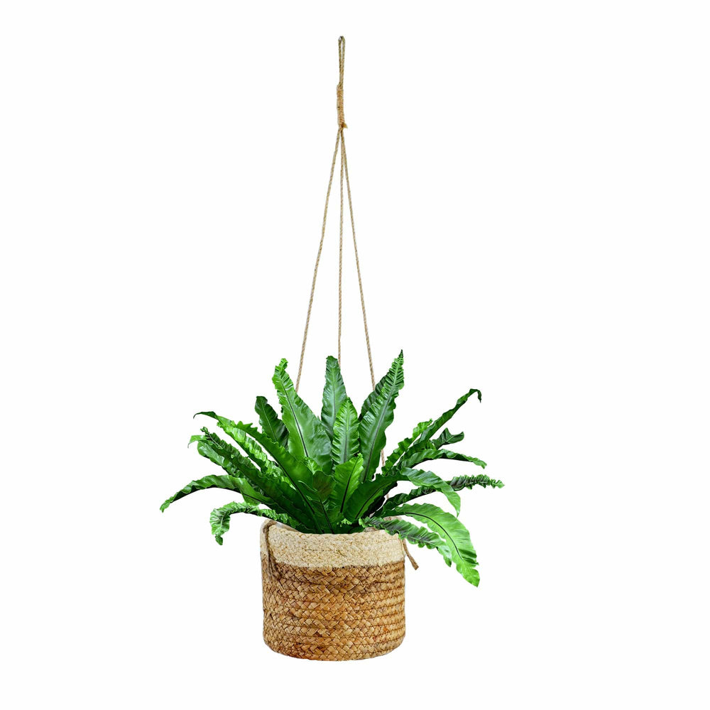Oval Water Hyacinth Hanging Plant Holder | Rustic Plant Cover for Indoor, Outdoors, Balcony, Gardening