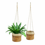 Oval Water Hyacinth Hanging Plant Holder | Rustic Plant Cover for Indoor, Outdoors, Balcony, Gardening