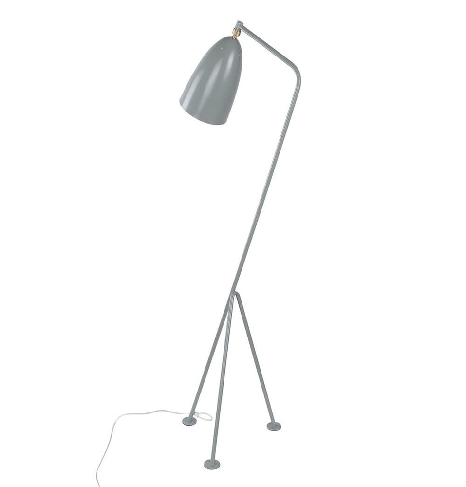 Paulina Floor Lamp.