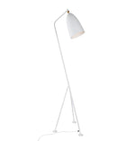 Paulina Floor Lamp.