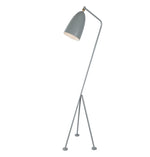 Paulina Floor Lamp.