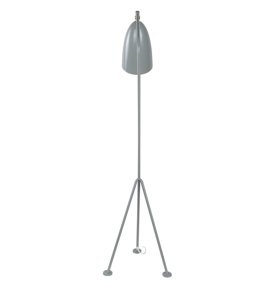 Paulina Floor Lamp.