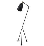 Paulina Floor Lamp.