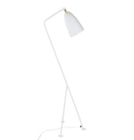 Paulina Floor Lamp.