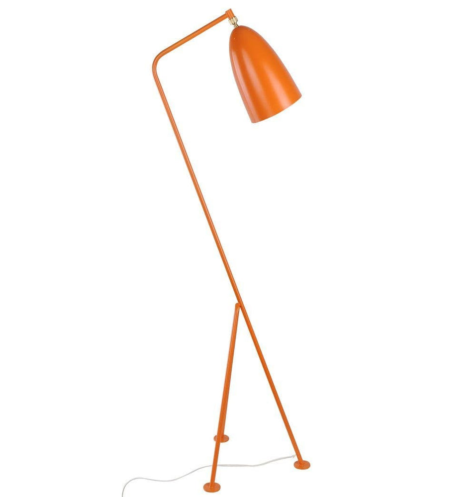 Paulina Floor Lamp.