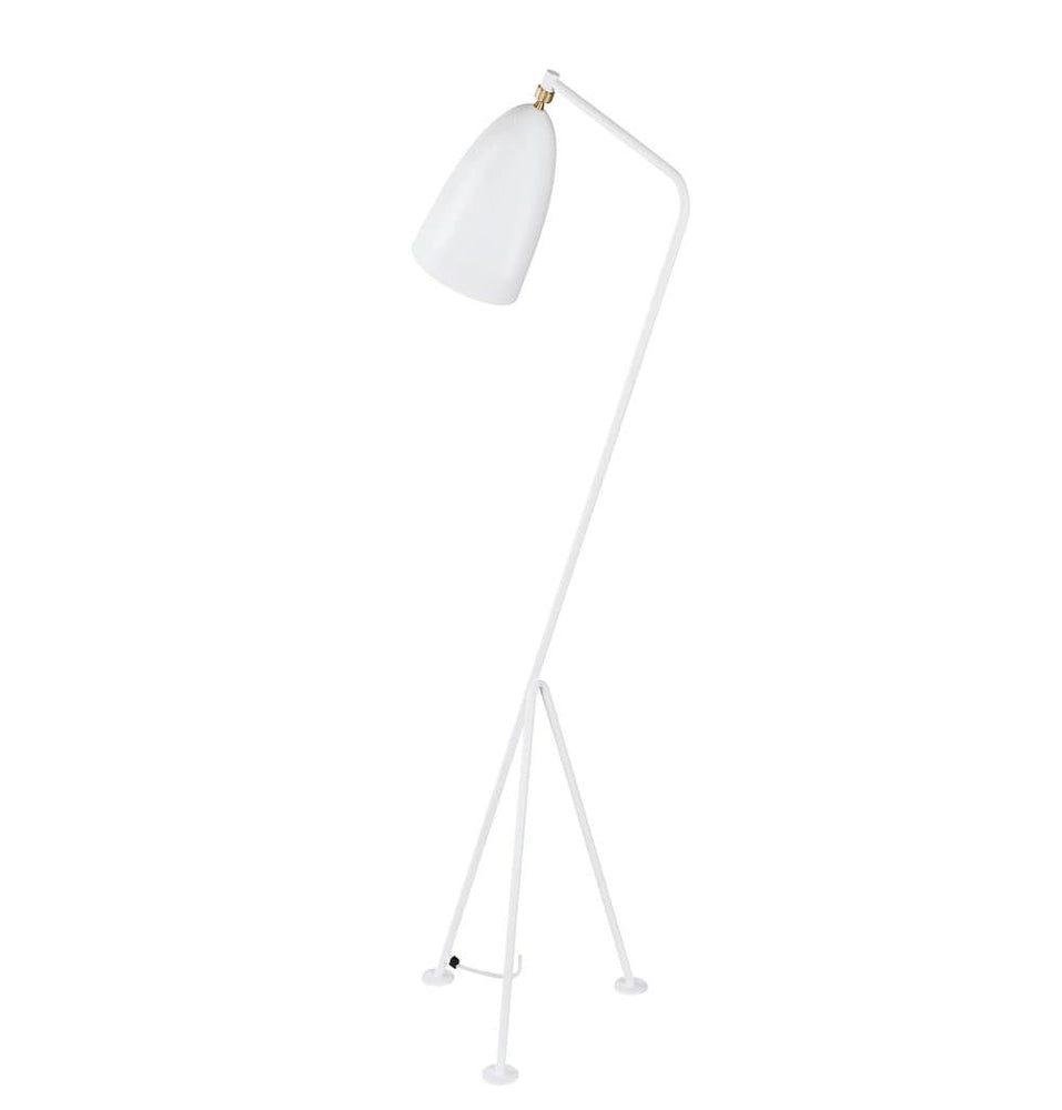 Paulina Floor Lamp.