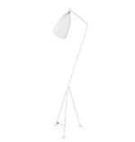 Paulina Floor Lamp.