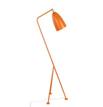 Paulina Floor Lamp.