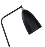 Paulina Floor Lamp.