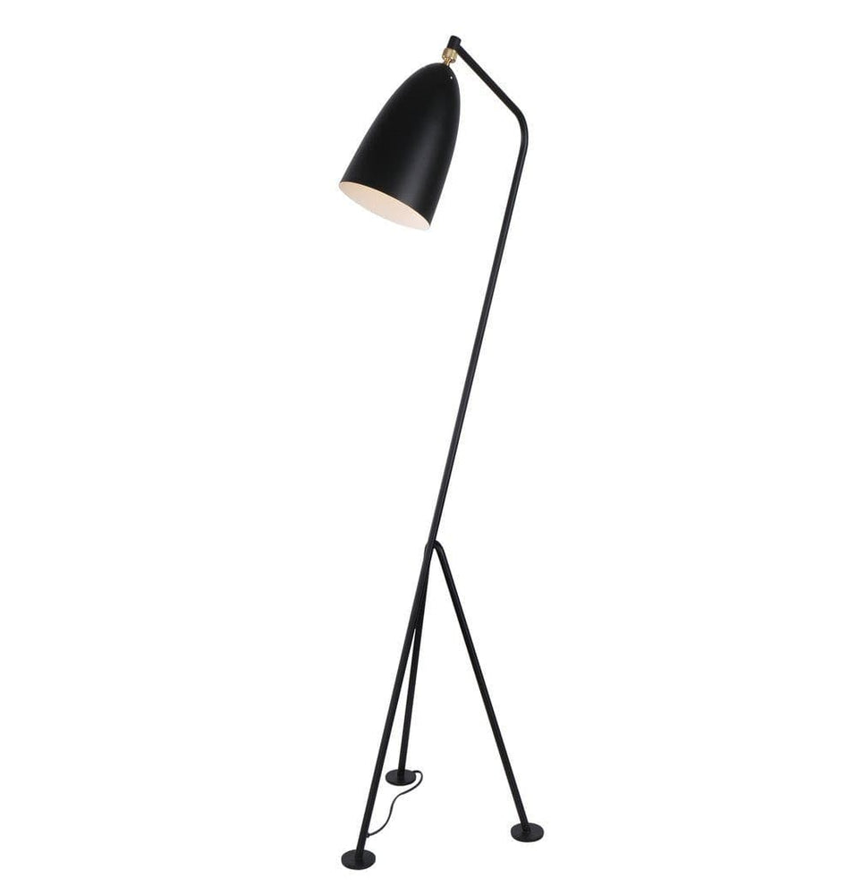 Paulina Floor Lamp.