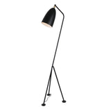 Paulina Floor Lamp.