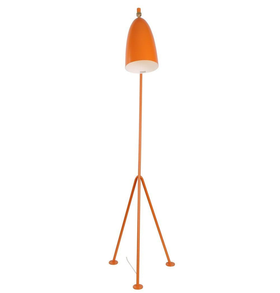 Paulina Floor Lamp.