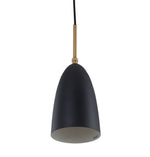 Paulina Pendant Lamp.