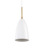 Paulina Pendant Lamp.