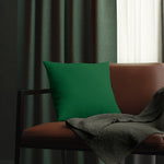 Indoor or Outdoor Throw Pillow for Home or Housewarming Gift, Green