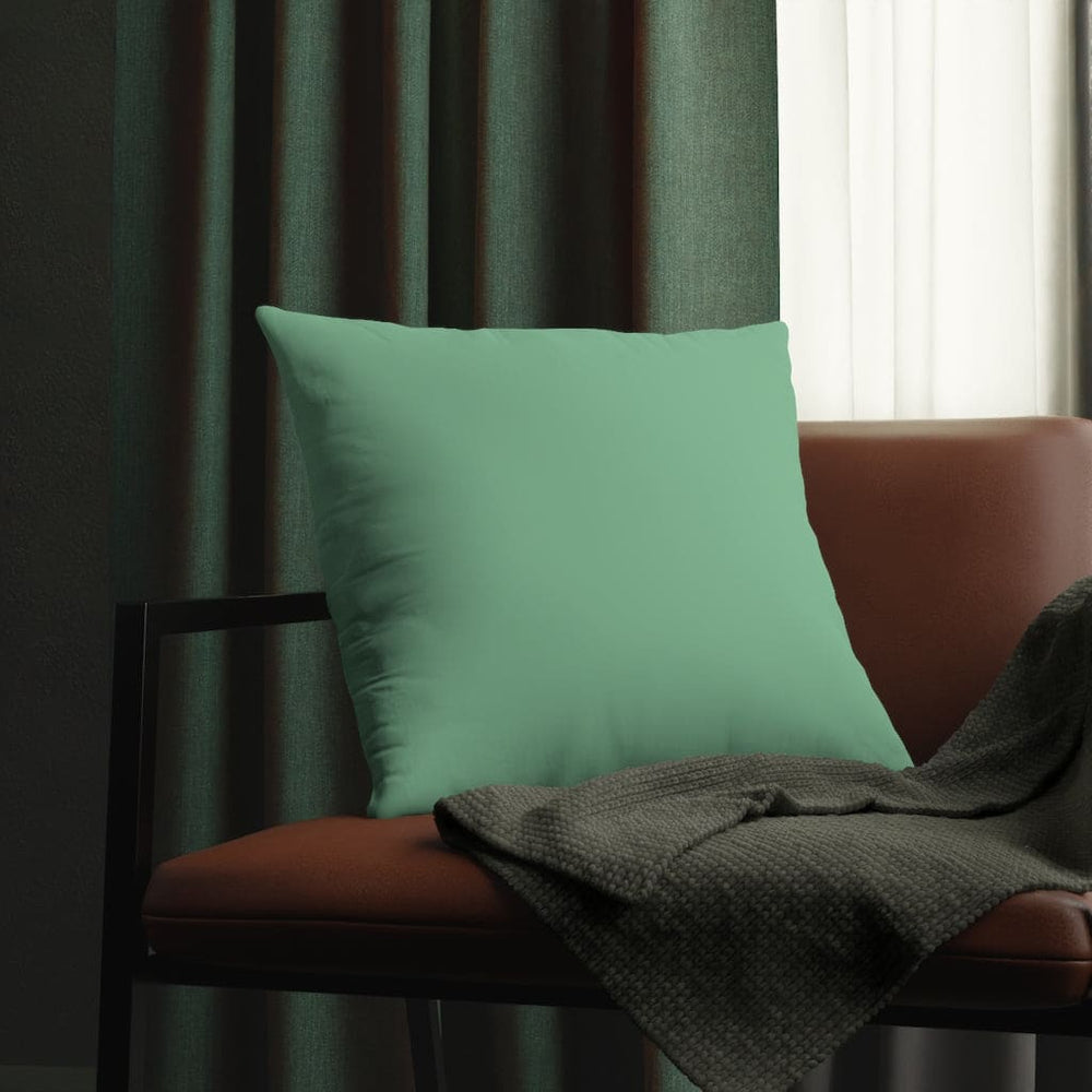 Indoor or Outdoor Throw Pillow for Home or Housewarming Gift, Mint Green